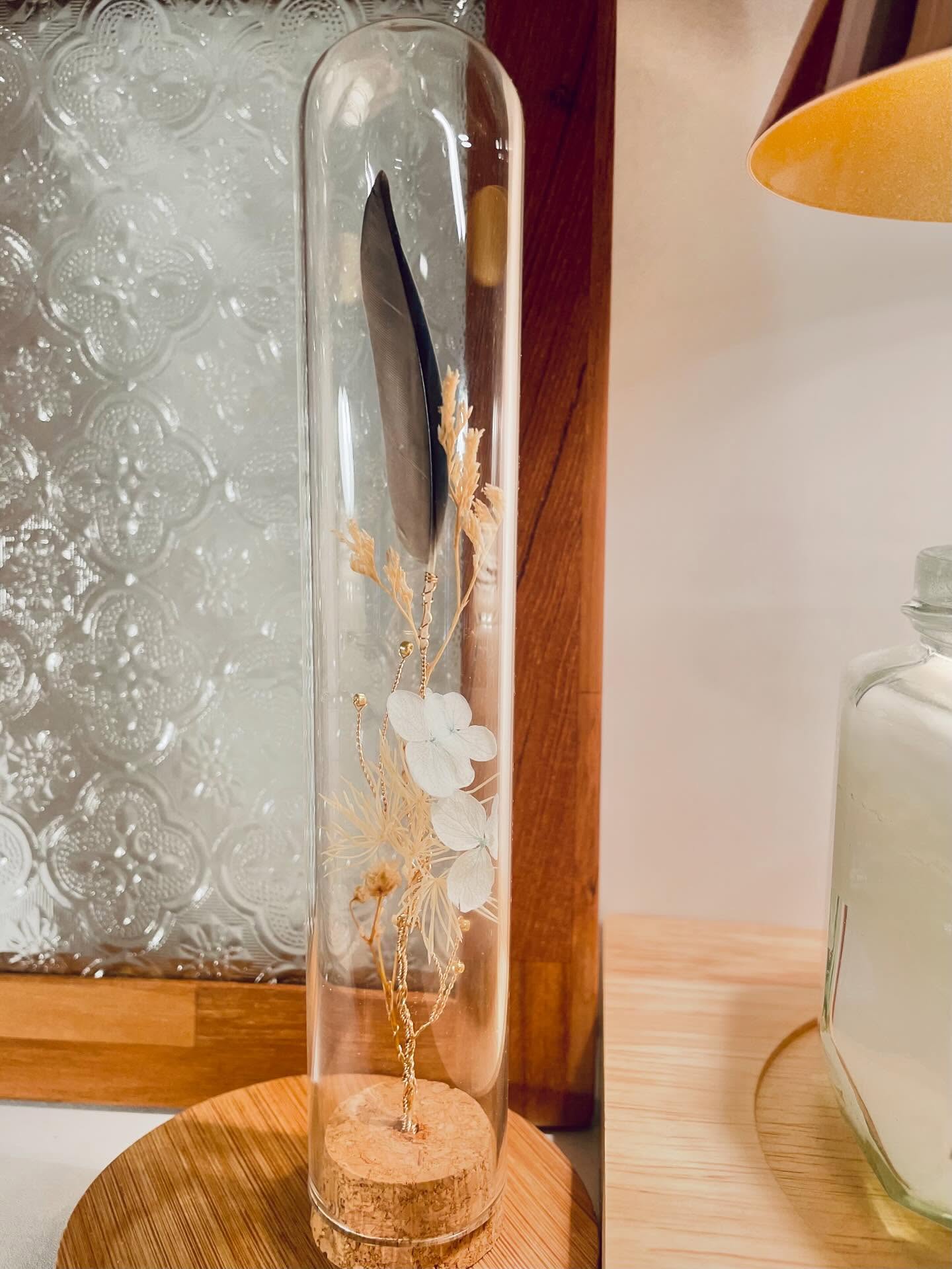 JuBoi-羽毛收藏玻璃罐-太平洋鸚鵡-004