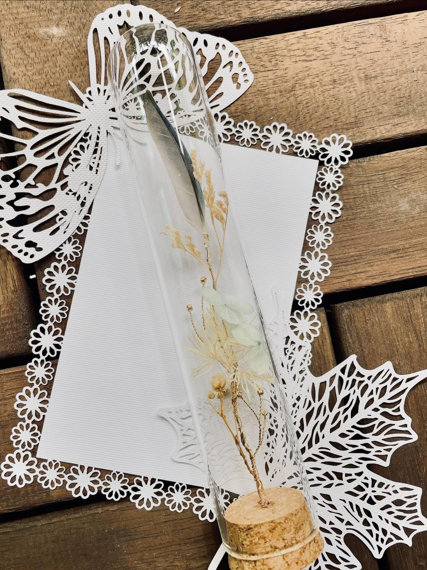 JuBoi-羽毛收藏玻璃罐-太平洋鸚鵡-005