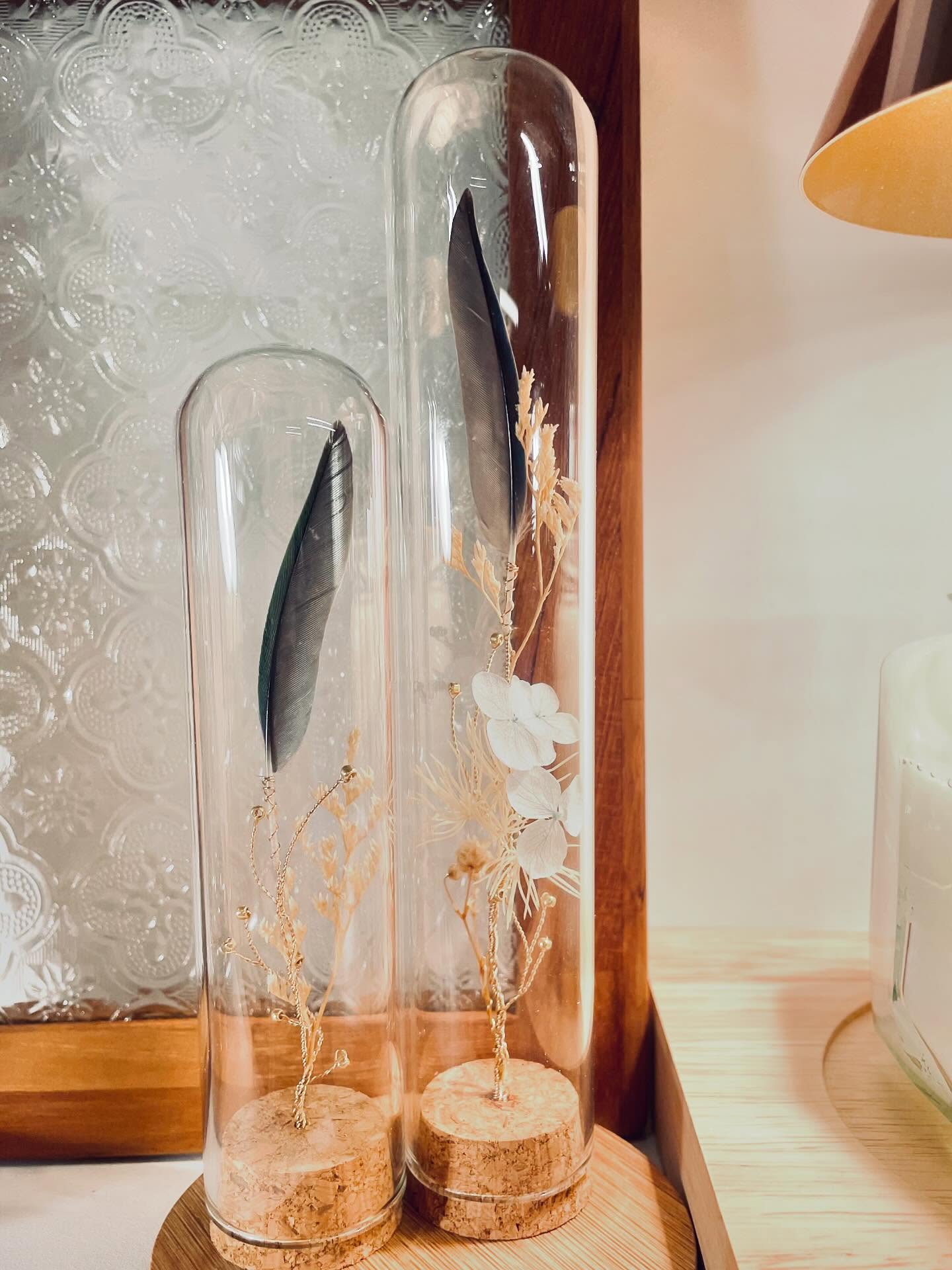 JuBoi-羽毛收藏玻璃罐-太平洋鸚鵡-006