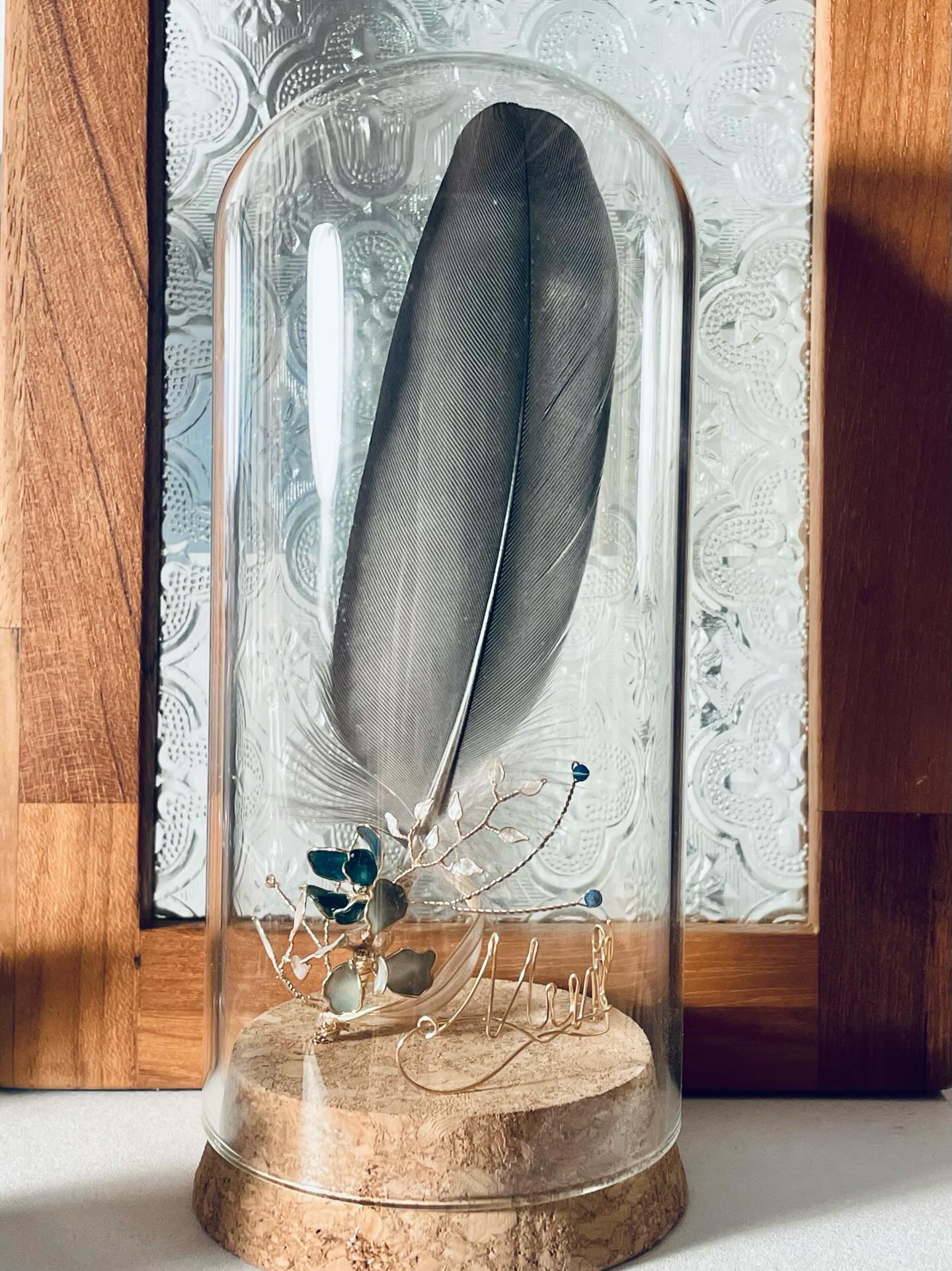 JuBoi-羽毛收藏玻璃罐-灰鸚鵡