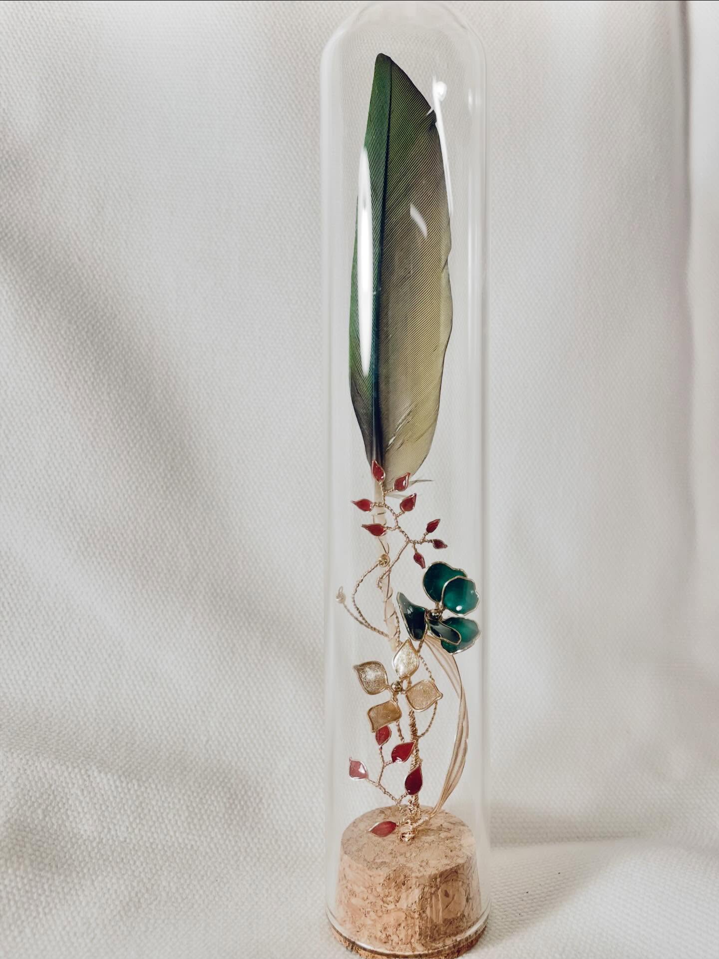 JuBoi-羽毛收藏玻璃罐-紅肩金剛-01