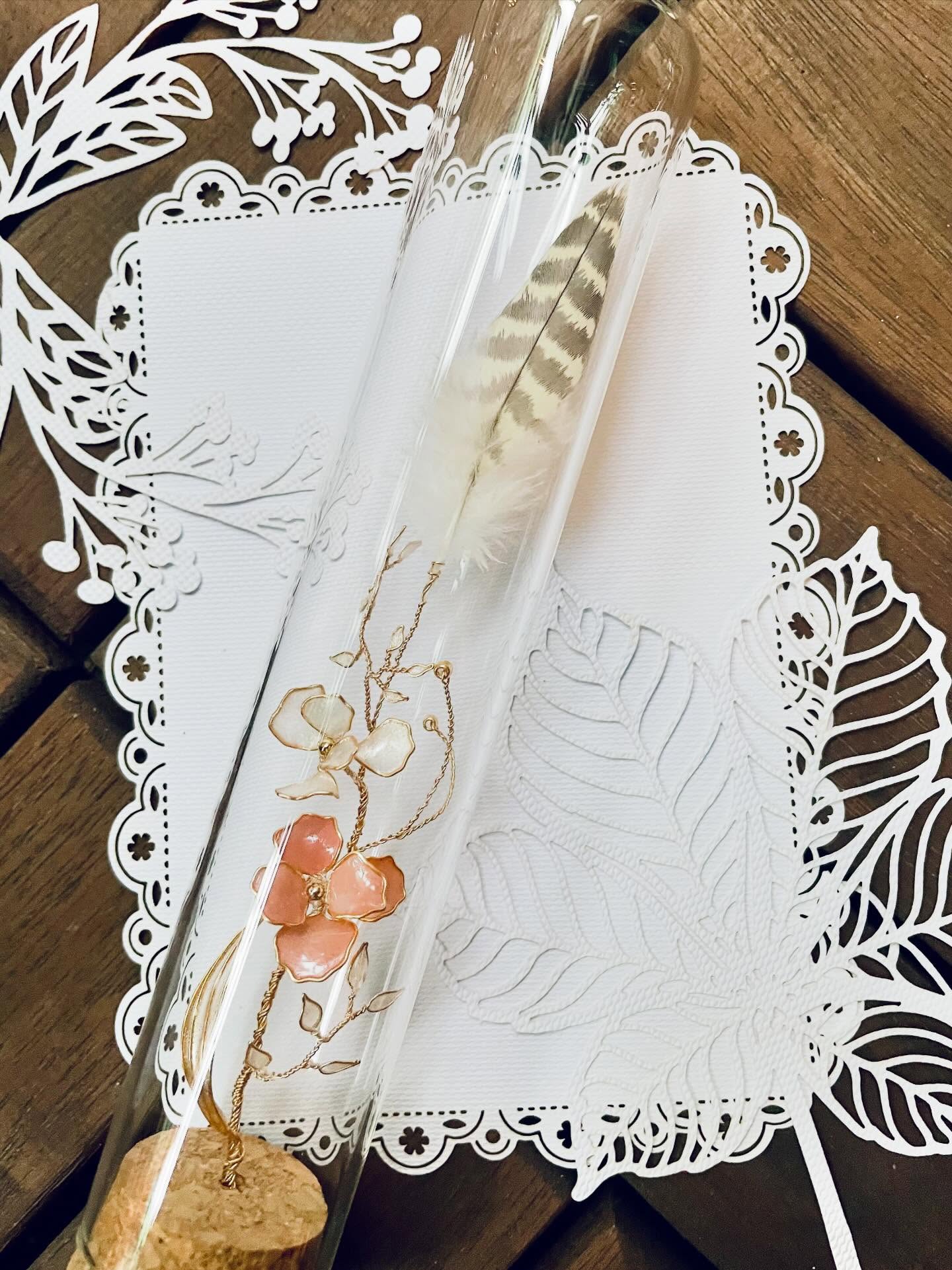 JuBoi-羽毛收藏玻璃罐-虎皮鸚鵡-03