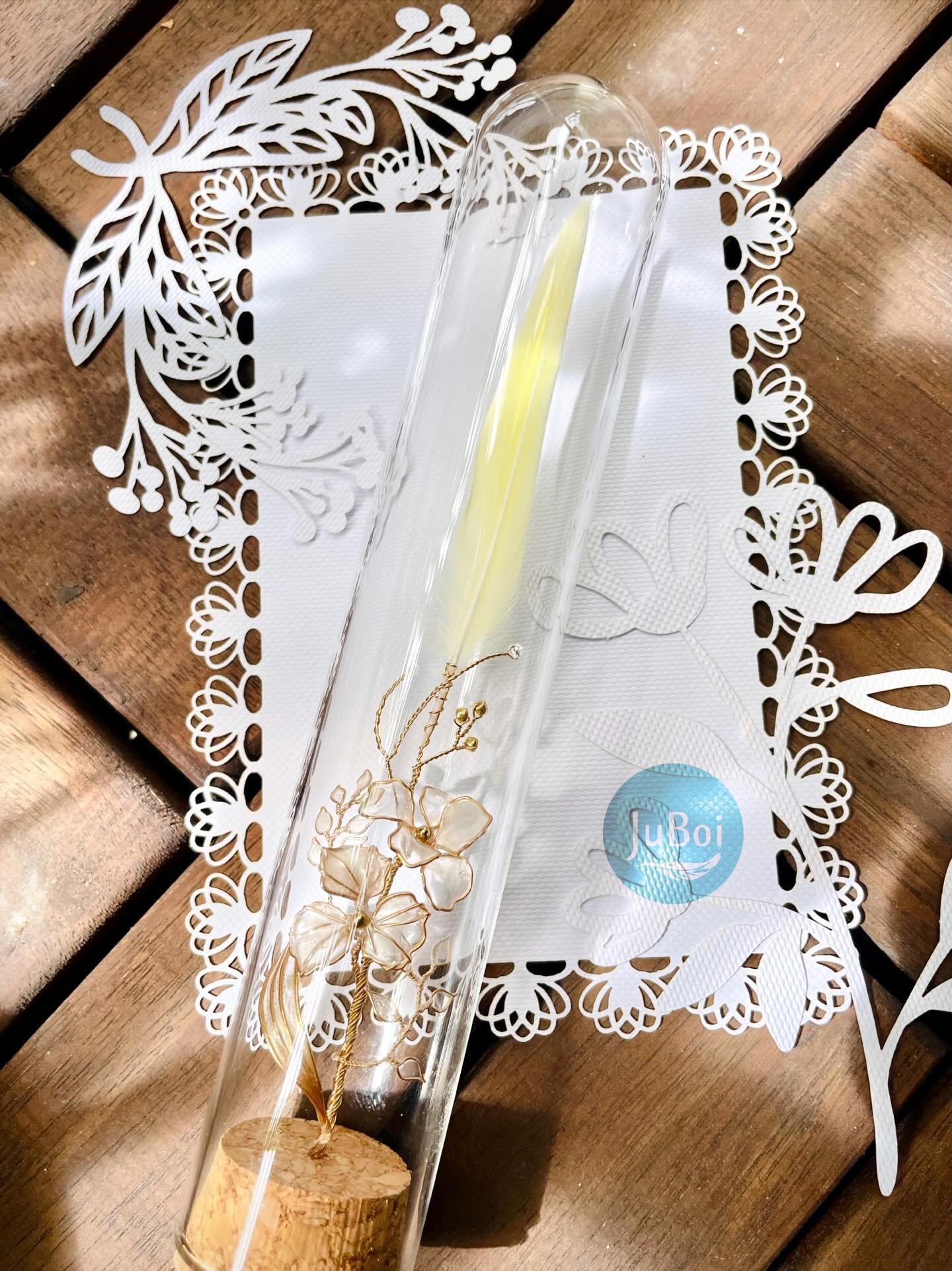 JuBoi-羽毛收藏玻璃罐-虎皮鸚鵡